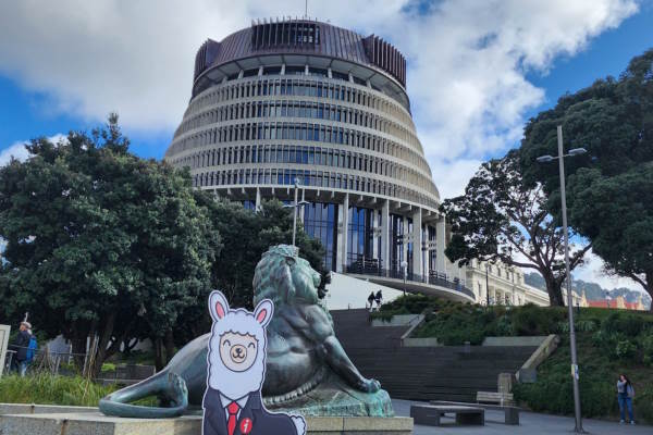 Alex the Alpaca at Wellington